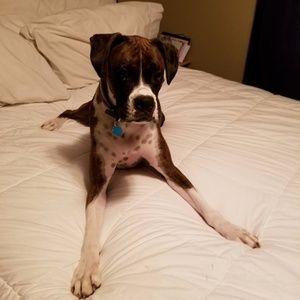 Meet your Posher, Leeann